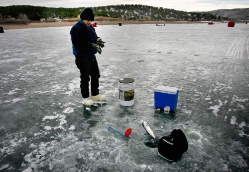 Scott Sommerdorf  |  The Salt Lake Tribune
     
James Gallegos pulls in a fish from the icy waters of Rockport Reservoir.