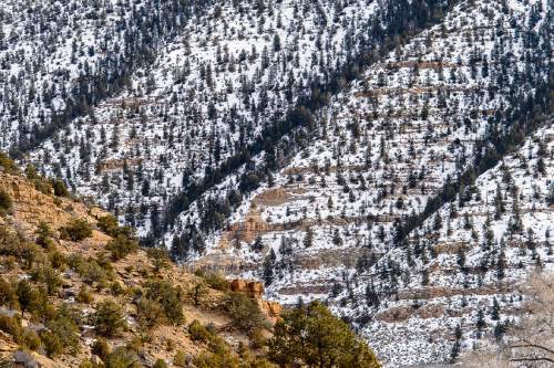 Trent Nelson  |  The Salt Lake Tribune
Landscape view in Nine Mile Canyon, Tuesday January 19, 2016.