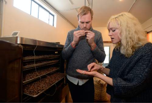 Al Hartmann  |  The Salt Lake Tribune
Robbie Stout and Anna Davies, owners of Ritual Chocolate in Park City, taste and smell slow-roasting Peruvian cacao beans to be used in their chocolates. They recently earned honors in the 2016 Good Food Awards for their Mid Mountain chocolate bar.  The bar is named after the Mid Mountain trail in Park City and is made with cacao beans from Madagascar, Equador, Belize and Peru. Thousands of companies across the country enter the Good Food competition and only a few get the honor.
