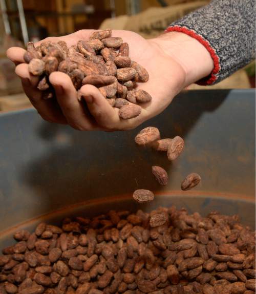 Al Hartmann  |  The Salt Lake Tribune
Robbie Stout, co-owner of Ritual Chocolate in Park City, checks a fresh bag of Peruvian cacao beans.  The business recently earned honors in the 2016 Good Food Awards for its Mid Mountain chocolate bar.
