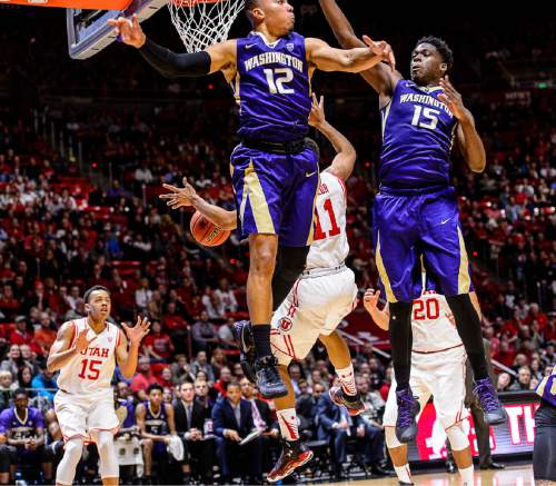 Trent Nelson  |  The Salt Lake Tribune
In a sequence, Utah Utes guard Brandon Taylor (11) drives between Washington Huskies guard Andrew Andrews (12) and Washington Huskies forward Noah Dickerson (15), passing to Utah Utes guard Lorenzo Bonam (15) for a dunk on the last possession of the first half, as the University of Utah Utes host the Washington Huskies, NCAA basketball at the Huntsman Center in Salt Lake City, Wednesday February 10, 2016.