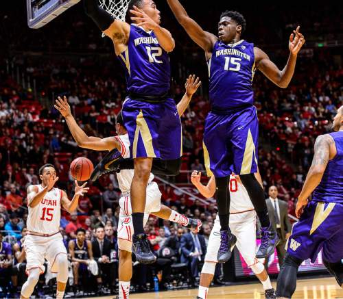 Trent Nelson  |  The Salt Lake Tribune
In a sequence, Utah Utes guard Brandon Taylor (11) drives between Washington Huskies guard Andrew Andrews (12) and Washington Huskies forward Noah Dickerson (15), passing to Utah Utes guard Lorenzo Bonam (15) for a dunk on the last possession of the first half, as the University of Utah Utes host the Washington Huskies, NCAA basketball at the Huntsman Center in Salt Lake City, Wednesday February 10, 2016.