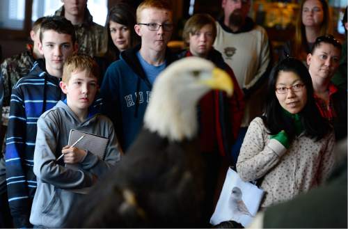 Scott Sommerdorf   |  The Salt Lake Tribune
Visitors are at attention as the Bear River Migratory Bird Refuge hosted its annual Eagle Day celebration in part by having the Bald Eagle "Des Ta Te" meet guests to the refuge, Saturday, February 13, 2016.