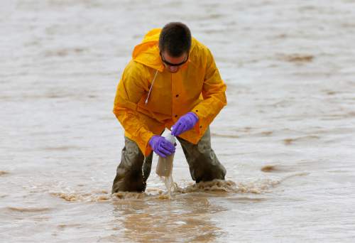 Hydrologic Technician Ryan Parker gathers water samples from the San Juan River, Tuesday, Aug. 11, 2015, in Montezuma Creek, Utah. A spill containing lead and arsenic from the abandoned Gold King Mine in Silverton, Colo., leaked into the Animas River, which flows into the San Juan River in southern Utah, on Aug. 5. The spill was caused by a mining and safety team working for the EPA.  (AP Photo/Matt York)