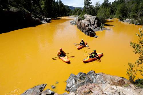 People kayak in the Animas River near Durango, Colo., Thursday, Aug. 6, 2015, in water colored from a mine waste spill. The U.S. Environmental Protection Agency said that a cleanup team was working with heavy equipment Wednesday to secure an entrance to the Gold King Mine. Workers instead released an estimated 1 million gallons of mine waste into Cement Creek, which flows into the Animas River. (Jerry McBride/The Durango Herald via AP) MANDATORY CREDIT