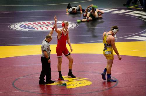 Scott Sommerdorf   |  The Salt Lake Tribune
A wrestler is awarded a win during the state wrestling tournament at UVU, Friday, February 12, 2016.