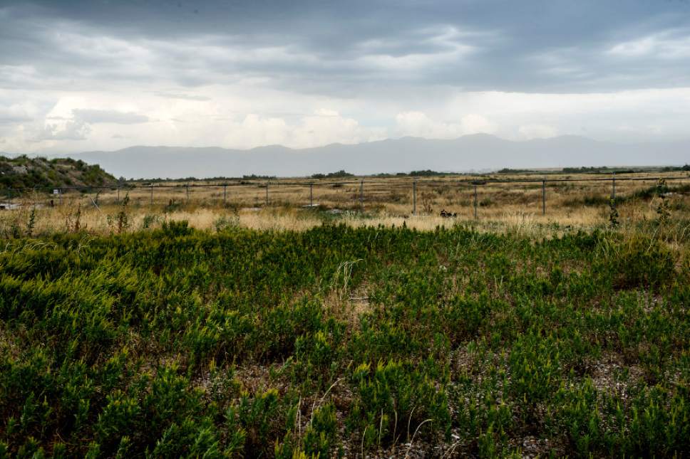 Chris Detrick  |  The Salt Lake Tribune
Land near 7200 West and I-80 in Salt Lake City Tuesday August 11, 2015.  The Prison Relocation Commission unanimously recommended building a new penitentiary west of the Salt Lake City International Airport.