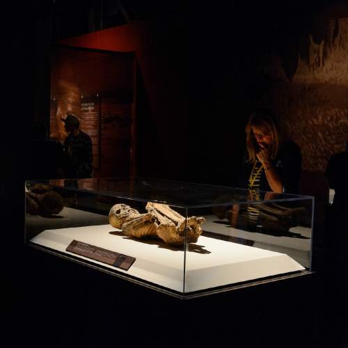 Trent Nelson  |  The Salt Lake Tribune
A female mummy from Peru, at The Leonardo's Mummies of the World: The Exhibition in Salt Lake City, Wednesday February 17, 2016.