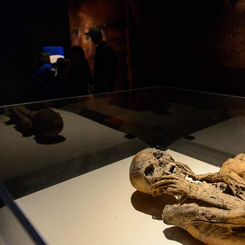 Trent Nelson  |  The Salt Lake Tribune
A female mummy from Peru, at The Leonardo's Mummies of the World: The Exhibition in Salt Lake City, Wednesday February 17, 2016.