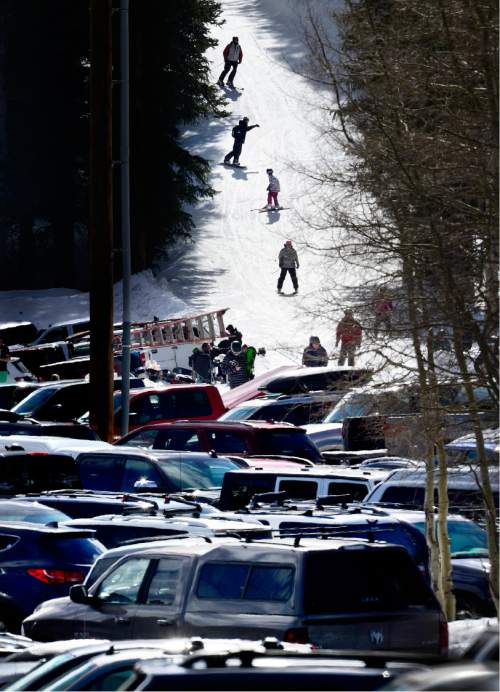 Scott Sommerdorf   |  The Salt Lake Tribune
Skiers glide down the transition between the "Crest" and "Milly" runs at Brighton ski resort toward a parking lot packed with hundreds of cars, Sunday, February 21, 2016.