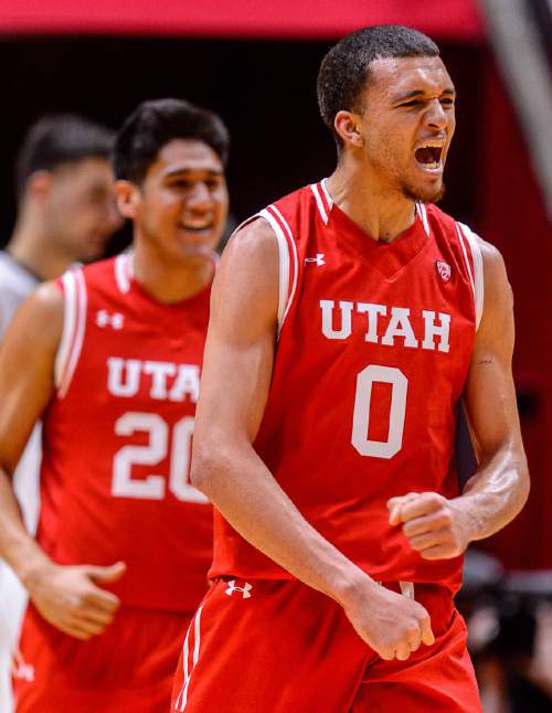 Trent Nelson  |  The Salt Lake Tribune
Utah Utes forward Brekkott Chapman (0) celebrates a basket leading to an 8-point lead as Utah hosts Arizona, NCAA basketball at the Huntsman Center in Salt Lake City, Saturday February 27, 2016.