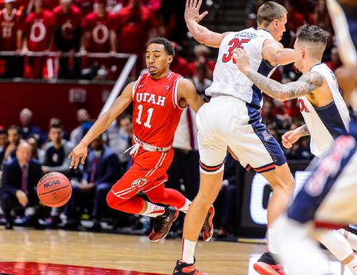 Trent Nelson  |  The Salt Lake Tribune
Utah Utes guard Brandon Taylor (11) with the ball as Utah hosts Arizona, NCAA basketball at the Huntsman Center in Salt Lake City, Saturday February 27, 2016.