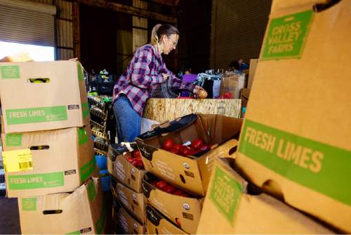 Trent Nelson  |  The Salt Lake Tribune
Donna McGinnis, a volunteer at Southwest Recovery Mission Ministries in Apple Valley, sorts food Thursday February 25, 2016. The organization provides donated food to families in Hildale, Utah and Colorado City, Arizona.