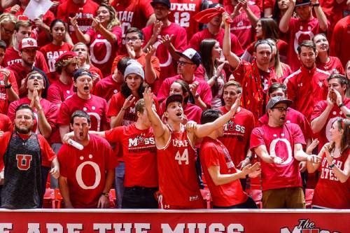 Trent Nelson  |  The Salt Lake Tribune
Utah fans as Utah hosts Arizona, NCAA basketball at the Huntsman Center in Salt Lake City, Saturday February 27, 2016.