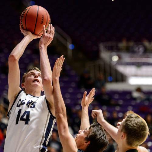 Trent Nelson  |  The Salt Lake Tribune
Corner Canyon's Cameron Dougherty (14) puts up a shot as Payson faces Corner Canyon in a first round game at the 4A state high school basketball tournament at the Dee Events Center in Ogden, Monday February 29, 2016.