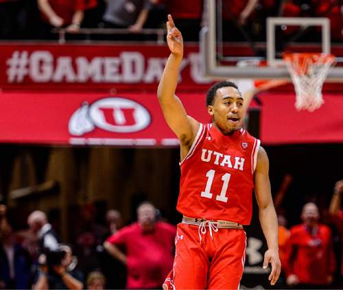 Trent Nelson  |  The Salt Lake Tribune
Utah Utes guard Brandon Taylor (11) brings down the house, hitting a three-pointer int he final minute for a five-point lead, as Utah hosts Arizona, NCAA basketball at the Huntsman Center in Salt Lake City, Saturday February 27, 2016.