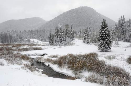Al Hartmann  |   Tribune file photo
Snow that accumulated in Utah's northern mountains, shown here near Jordan Pines in Big Cottonwood Canyon, tapered off in February, lowering big hopes for an above-average snowpack entering spring runoff season.