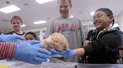 Al Hartmann  |  The Salt Lake Tribune
Fourth grade students react in their own individual ways looking and touching a donated human brain at Brain Awareness Week at Neil Armstrong Academy in West Valley City Tuesday March 15.  Brain Awareness Week is sponsored by the Interdepartmental Program in Neuroscience at the University of Utah.