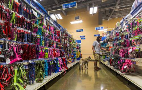 petsmart midtown