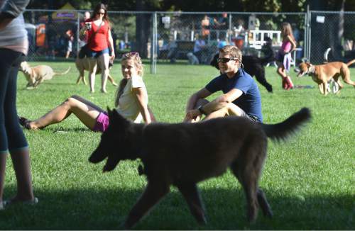 Steve Griffin  |  Tribune file photo

Dogs enjoy some off leash time as Salt Lake City sponsored  "Yappy Hour" at Liberty Park in Salt Lake City last July. Salt Lake County is struggling to come up with a workable plan to implement more off-leash parks to meet the demand.