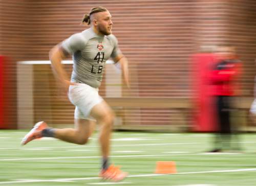 Rick Egan  |  The Salt Lake Tribune

Jared Norris (41), runs drills for the NFL scouts during the Uof U's annual Pro Day, at the University of Utah, Thursday, March 24, 2016.