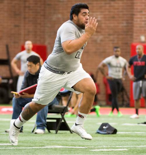 Rick Egan  |  The Salt Lake Tribune

Siaosi Aiono (60), runs drills for the NFL scouts during the Uof U's annual Pro Day, at the University of Utah, Thursday, March 24, 2016.