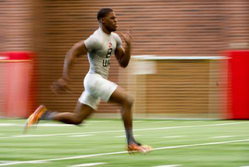 Rick Egan  |  The Salt Lake Tribune

Bubba Poole (8), runs drills for the NFL scouts during the Uof U's annual Pro Day, at the University of Utah, Thursday, March 24, 2016.