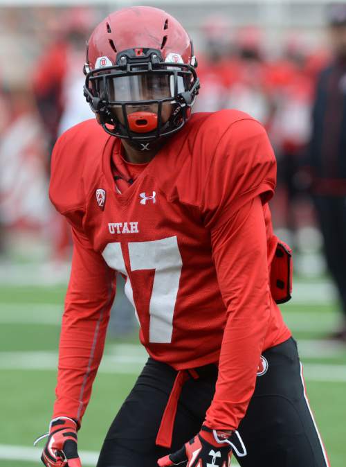 Steve Griffin  |  The Salt Lake Tribune


Utah freshman wide receiver Demari Simpkins during spring football practice at Rice-Eccles Stadium in Salt Lake City, Tuesday, March 29, 2016. Huntley and Simpkins both attended Hallandale High School in Florida.