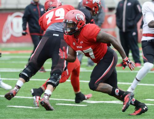 Steve Griffin  |  The Salt Lake Tribune


Utah freshman running back Marcel Manalo runs a pass route during spring football practice at Rice-Eccles Stadium in Salt Lake City, Tuesday, March 29, 2016.