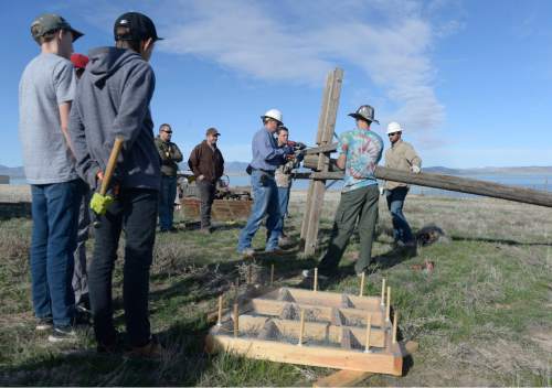 Al Hartmann  |  The Salt Lake Tribune 
Members of Boy Scout troop 1502 from Spanish Fork work alongside the Utah Dept. of Wildlife Rescources assembling the first of seven nesting platforms for osprey on the south end of Utah Lake Tuesday April 5. The seven osprey nesting platforms will be erected in seven different locations along the southwest portion of Utah Lake.  Ospreys are a fish-eating bird of prey that migrate to Utah in spring to nest and raise their young.  They often choose to build their nests on top of manmade nesting platforms attached to the top of wooden power poles.