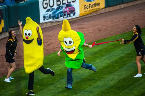 Chris Detrick  |  The Salt Lake Tribune
The banana wins the race against the corn during the game at Smith's Ballpark Thursday April 7, 2016.