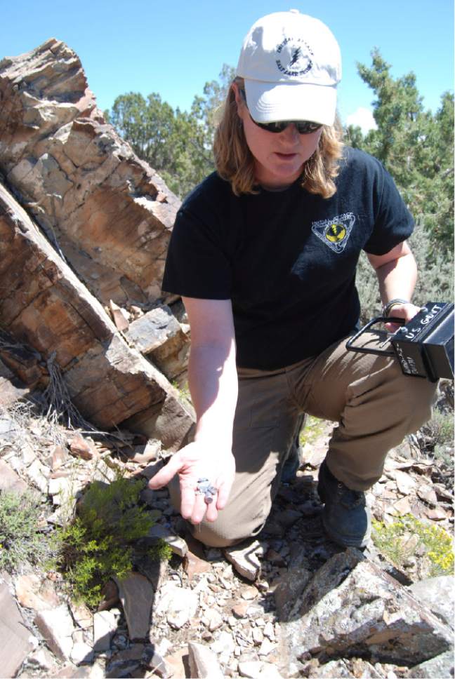 Brian Maffly  |  The Salt Lake Tribune 

BLMÌs Teresa Rigby displays slugs that have struck rock art panels at UtahÌs Lake Mountains.