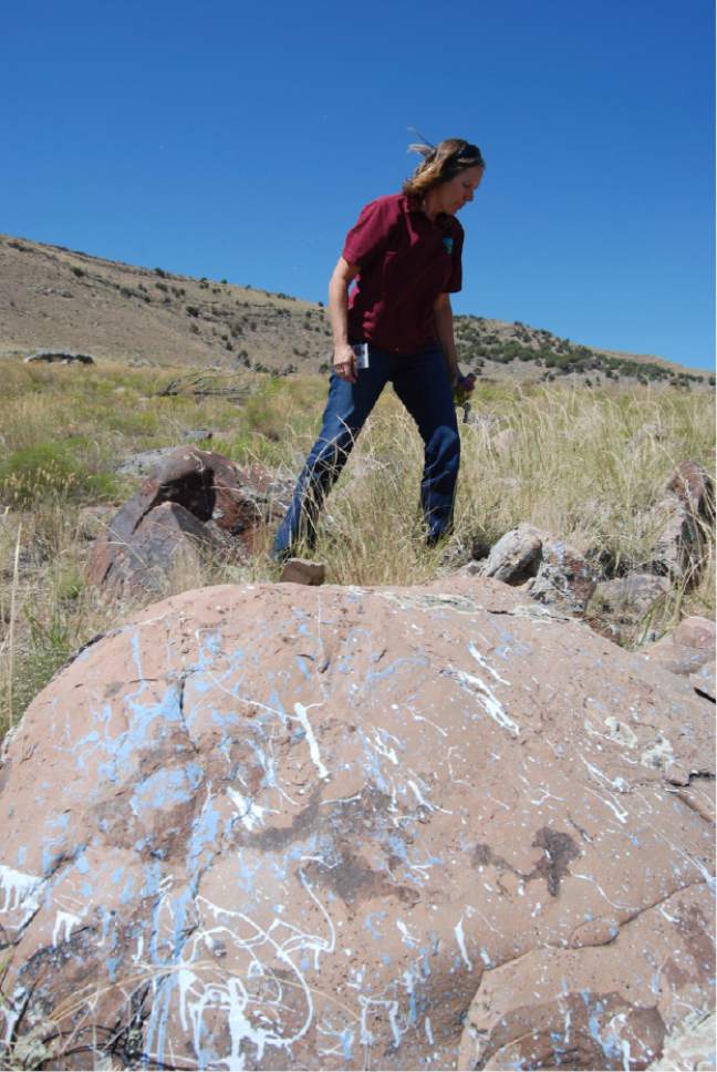Brian Maffly  |  The Salt Lake Tribune 

Bekee Hotzee, former manager for BLMís Salt Lake field office, examines rocks where target shooters blasted cans of paint.