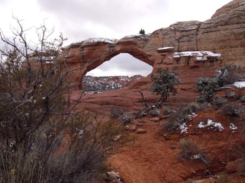 Erin Alberty  |  The Salt Lake Tribune

Gnarled shrubs in winter dot Broken Arch in Arches National Park.