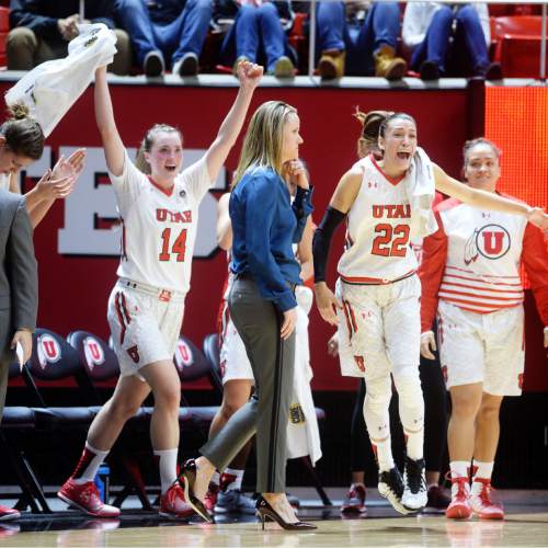 Steve Griffin  |  The Salt Lake Tribune


Utah Utes guard Paige Crozon (14) and Utah Utes guard Danielle Rodriguez (22) jump off the bench in excitement during game against UCLA at the Huntsman Center in Salt Lake City, Sunday, January 31, 2016.