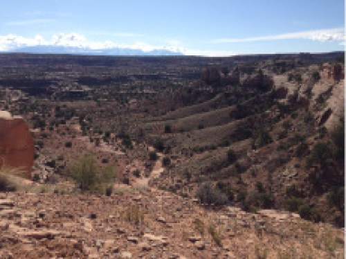 Lya Wodraska  |  The Salt Lake Tribune

Navajo Rocks skirts this canyon.