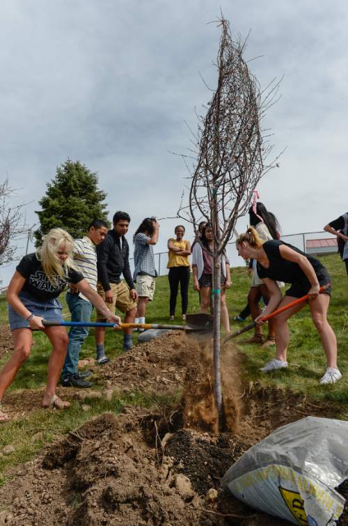 Francisco Kjolseth | The Salt Lake Tribune 
Rocky Mountain Power gets a little help from Trees Inc. and East High school students by planting new trees near an over head high-voltage transmission line along Sunnyside Ave., on Friday, April 22, 2016, which is also Earth Day. Several conifers that were posing problems were replaced with compatible species to help create a natural barrier while maximizing landscape maintenance.