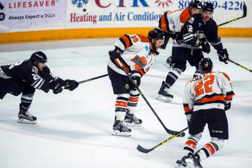 Chris Detrick  |  The Salt Lake Tribune
Grizzlies' Charles Sarault (28) reaches for Komets' Trevor Cheek (39)during Game 4 of the ECHL playoff series at Maverik Center Friday May 6, 2016.