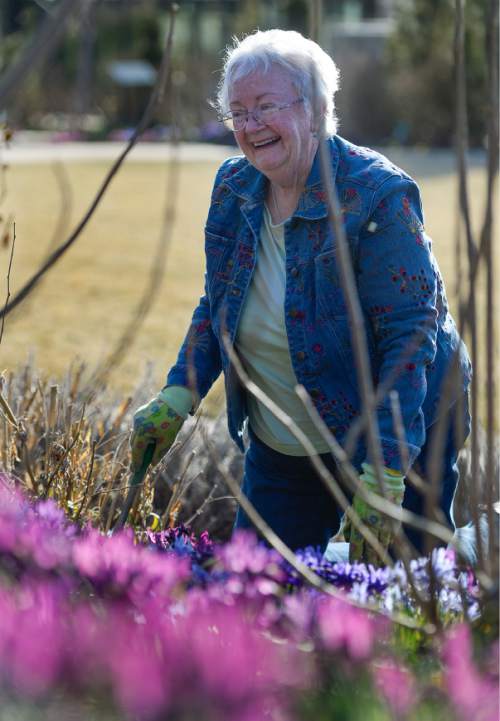 Francisco Kjolseth  |  The Salt Lake Tribune 
Joy Bossi, working the grounds of Red Butte Garden recently, has helped thousands of Utahns plant their garden, landscape their yard and kill pesky bugs and weeds through her classes and Saturday morning radio show "Joy in the Garden."