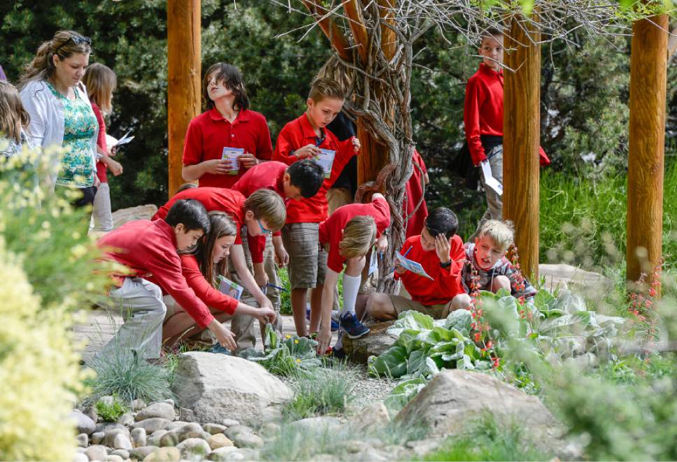 Francisco Kjolseth | The Salt Lake Tribune 
Channing Hall Charter School 4th grade students learn about water conservation and drought tolerant plants during a visit to the Conservation Garden Park at Jordan Valley on Tuesday, May 10, 2016. The Utah Division of Water Resources (DWRe) launched a water conservation campaign called "H2Oath: Utah's Water-wise Pledge" to encourage additional water conservation efforts by families, businesses, government agencies and statewide organizations. The H2Oath was designed to commit individuals and groups to conserve more by following the division's Weekly Lawn Watering Guide throughout the watering season, and making several other water conservation commitments.