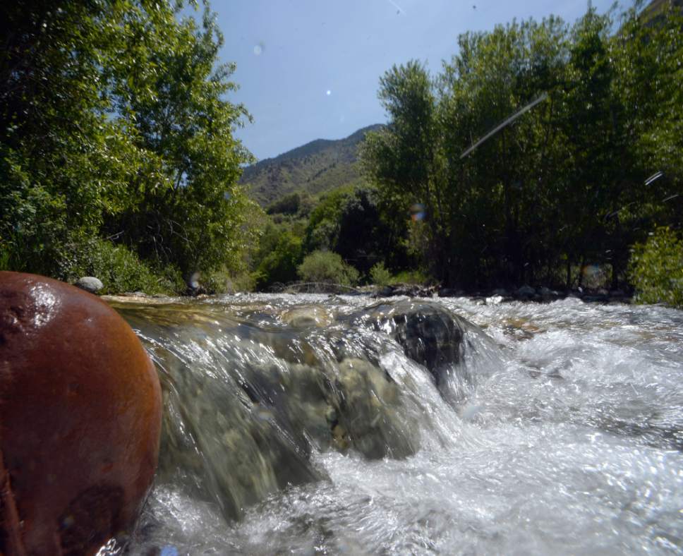 Al Hartmann | Tribune file photo
Runoff from Big Cottonwood Canyon flows down Big Cottonwood Creek in May 2015. Utah Gov. Gary Herbert on Wednesday accepted a 50-year water management report from a team of advisors. The 106-page document emphasizes conservation, while also including mention of controversial water-development projects such as the Lake Powell pipeline and the Bear River project.