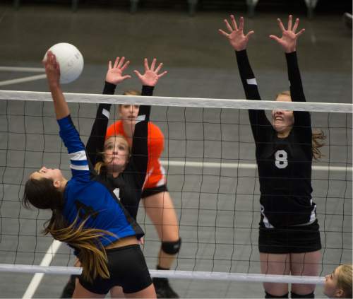 Rick Egan  |  The Salt Lake Tribune

Panguitch Bobcats Whittni Orton (4) spikes the ball, as Monticello Buckaroos Ashley Adare (4) and Atlanta Black (8) defend, in prep 1A championship volleyball action Panguitch vs. Monticello, at Utah Valley University, Saturday, October 31, 2015.