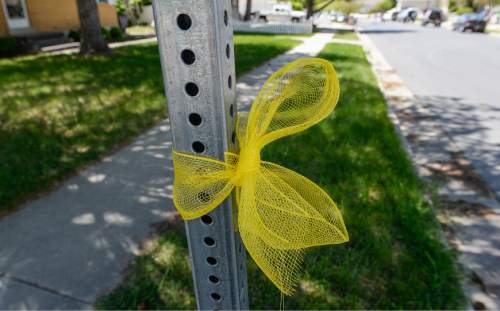 Francisco Kjolseth | The Salt Lake Tribune
Yellow ribbons adorn the neighborhood belonging to missing UTA worker 63-year-old Kay Porter Ricks, whose body was found Tuesday in Wyoming. A family spokesperson spoke with the media outside their neighborhood ward in American Fork on Wednesday, May 18, 2016.