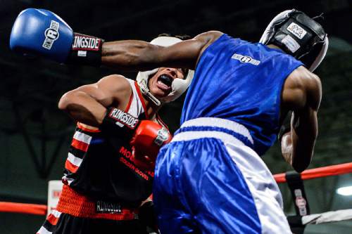 Trent Nelson  |  The Salt Lake Tribune
Diego Alvarez, Rocky Mountain (red), defeats Timothy Jarman, St. Louis, in boxing action at the Golden Gloves of America's 2016 National Tournament of Champions in Salt Lake City, Thursday May 19, 2016.