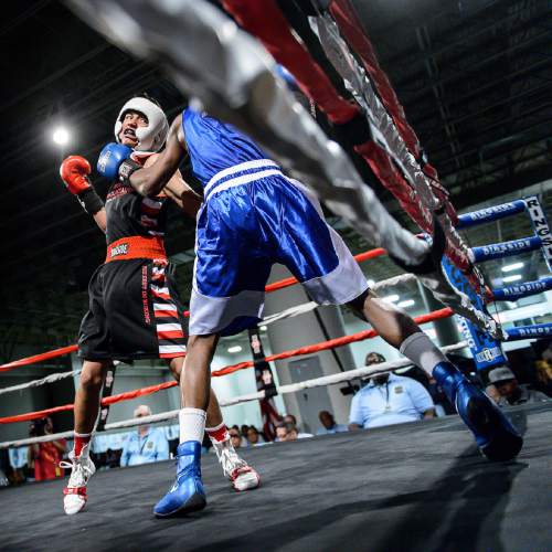 Trent Nelson  |  The Salt Lake Tribune
Diego Alvarez, Rocky Mountain (red), defeats Timothy Jarman, St. Louis, in boxing action at the Golden Gloves of America's 2016 National Tournament of Champions in Salt Lake City, Thursday May 19, 2016.