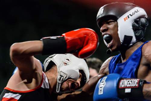 Trent Nelson  |  The Salt Lake Tribune
Diego Alvarez, Rocky Mountain (red), defeats Timothy Jarman, St. Louis, in boxing action at the Golden Gloves of America's 2016 National Tournament of Champions in Salt Lake City, Thursday May 19, 2016.