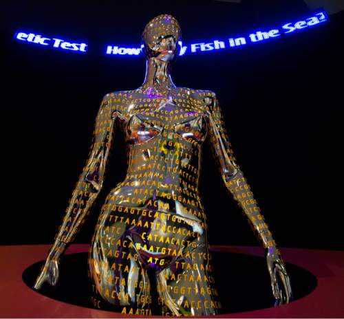Steve Griffin / The Salt Lake Tribune

The Natural History Museum of Utah will open "Genome: Unlocking Life's Code," a new exhibit that explores how scientists (including many from University of Utah Health Sciences) have unlocked the mysteries of the human genome for the benefit of humankind. Here a mannequin 
 is covered in genetic code at the museum in Salt Lake City Thursday May 19, 2016.