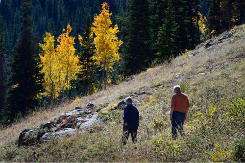 Scott Sommerdorf   |  The Salt Lake Tribune
Two hikers walk the trail at the top of Guardsman's Pass, Sunday, September 20, 2015.