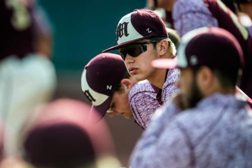Chris Detrick  |  The Salt Lake Tribune
Maple Mountain's Jeff Mack (8) watches from the dugout during the 4A quarterfinal baseball game against Orem at Utah Valley University Tuesday May 24, 2016.