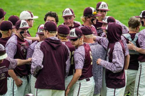 Chris Detrick  |  The Salt Lake Tribune
Maple Mountain's Jeff Mack (8) huddles with his team during the 4A quarterfinal baseball game against Orem at Utah Valley University Tuesday May 24, 2016.